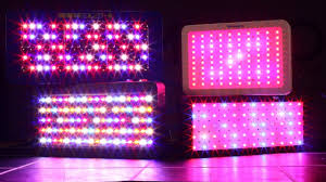 We did not find results for: Amazon Grow Lights Review Best Budget Grow Light From Amazon Around 100 Youtube