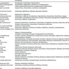 Pdf Categories Of Architectural Designs In Trace Fossils A Measure Of Ichnodisparity