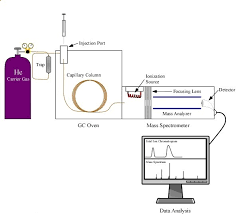 A data system permits to process these data to produce a graph of the variation of this detector signal. Gas Chromatography With Mass Spectrometry Gc Ms Mooreanalytical