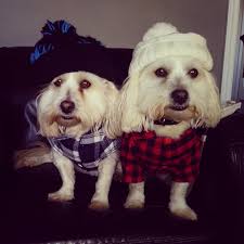 Flannel🔥🔥🔥🔥 winter is coming 3 hat bohor 🌸 Tania Bostra Bitan