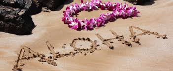 Image result for hawaii