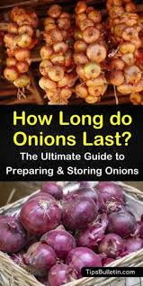 How Long Do Onions Last The Ultimate Guide To Preparing And In 2020 Storing Onions Onion Dehydrated Onions