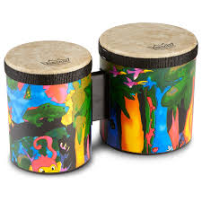 percussion rain forest bongos