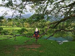 Visitor can go to visit these places and understand the history of taiping and malaysia. 10 Awesome Things You Can Do In Taiping Perak