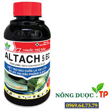 Altach 5EC