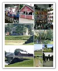 Jersey Girl Book Reviews: Deadly Dog Days by Jamie M. Blair (Author Guest  Post