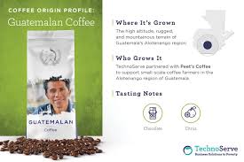 Coffee Consumer Spotlight Guatemalan Coffee Technoserve