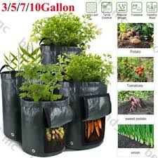 Potato planting is done using small pieces of mature seed potato tubers, during the cool season when the soil is above freezing and in time to before temperatures get above 90 or so. Diy Potato Grow Planter Pe Cloth Planting Container Bags Thicken Garden Yard Pot Ebay