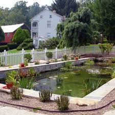 Pool To Pond Conversion Natural Swimming Ponds Dream Garden Swimming Pond