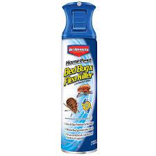 Bayer Advanced Bed Bug And Flea Killer 15 7 Fl Oz Bed Bug Killer In The Pesticides Department At Lowes Com