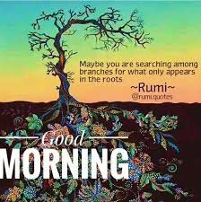 Pin By Shahid Fazal On Good Morning Quotes Rumi Quotes Rumi Rumi Love