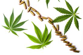 Arkansas department of health medical marijuana section: Can Arkansas Medical Cannabis Cardholders Purchase Firearms