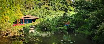 Grădina botanică a universității din craiova galați: 5 GrÄdini Botanice Din Romania Care MeritÄ Vizitate