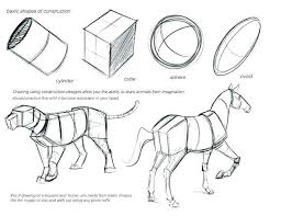 Einfache Tierzeichnungen Einfache Tierzeichnungen Fur Anfanger Basic Animal Sha Anfanger Fine Ei Easy Animal Drawings Animal Drawings Animal Anatomy