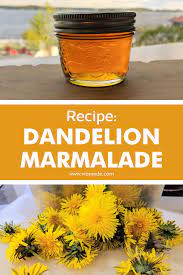 Dandelion Marmalade Recipe Marmalade Recipe Dandelion Recipes Edible Flowers Recipes