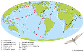 We did not find results for: Ecology Of Animal Migration Sciencedirect