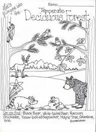 Ecosystem Interactive Coloring Pages Ecosystems Ecosystems Unit Coloring Pages