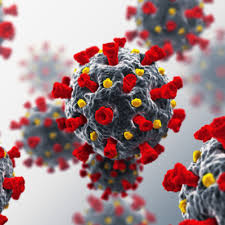 This page is continuously updated. Covid 19 Update Important Notice 4 H Alberta