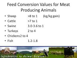Introduction To Animal Science Objectives A List 5 Functions Of Domestic Animals B Describe And Define What Considers An Animal To Be Domesticated C Define Ppt Download