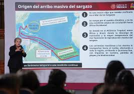 Gobierno invierte 2 mil mdp y refuerza estrategia para contener el sargazo en Quintana Roo: Sheinbaum