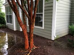 We did not find results for: Leaky Basement 8 Reasons Why Your Gutters Are The Likely Culprit Gutter Guards Direct