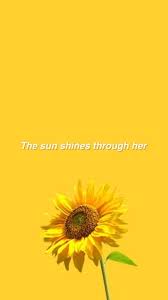 Aesthetic Wallpaper Yellow Wallpaper Yellow Aesthetic Nature Photography Quotes