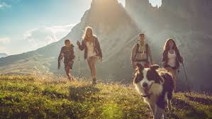 Apr 13, 2021 · hiking trails; The 10 Best Adventure Dog Breeds For The Active Outdoorsman The Manual