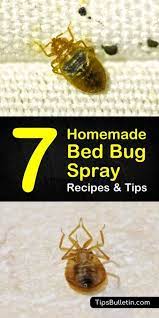 Getting Rid Of Bed Bugs 7 Homemade Bed Bug Spray Recipes And Tips Bug Spray Recipe Bed Bug Spray Bed Bugs