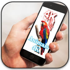 See more ideas about iphone wallpaper, phone wallpaper, wallpaper backgrounds. Animals 4k Wallpapers 2020 Amazon In Appstore For Android
