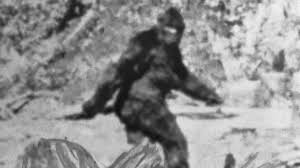 How The Bigfoot Legend Began History Watch bo on the go! how the bigfoot legend began history
