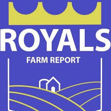 2019 Royals Organization Depth Chart Royals Farm Report