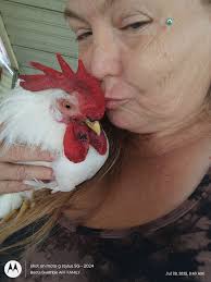 My name is Ollie and my mom is really mad at me. I keep getting into burr  bushes. Can someone tell her how to identify the bush and give tips