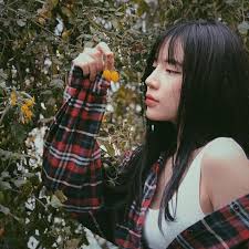 Contact ly ly on messenger. Lyly La Ai Tiá»ƒu Sá»­ Sá»± Nghiá»‡p Va Ä'á»i TÆ° Ná»¯ Ca SÄ© Nguyá»…n Hoang Ly