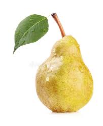 Eine pflückreife frucht hat braune kerne, ist aber insgesamt noch sehr fest. Reife Birne Stockbild Bild Von Tropfen Blatt Gelb 47856403
