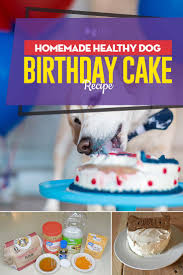 Preheat oven to 350* combine the flour and baking soda in a mixing bowl. Homemade Healthy Dog Birthday Cake Recipe Easy And Simple To Make