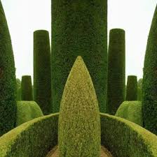 Pin By Anthony Webster Coleshill Ant On Garden Creative Landscaping Fountains And Ponds Topiary Garden English Garden Garden Hedges