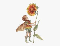 Trova immagini fiori gratis ✓ scarica immagini di fiori da scaricare ✓ scegli nuove immagini nuove scegli l'immagine fiori perfetta per il tuo progetto. Image Dei Fiori Cicely Mary Barker Hd Png Download Transparent Png Image Pngitem