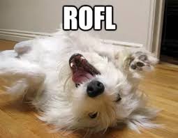 Image result for ROFL