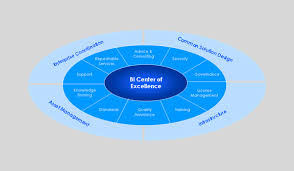 example charter for a bi center of excellence bi coe