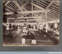 Image result for BOMBAY PLAGUE PHOTOS