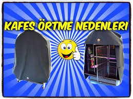Muhabbet Kusu Uzerini Ortmek Gerekir Mi Ne Fayda Saglar Budgies Cage Cover Youtube