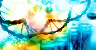 Extensao Biologia Molecular Tecnicas E Aplicacoes Em Ciencias Da Saude Faepe Biologia Molecular Curso De Graduacao Biologia
