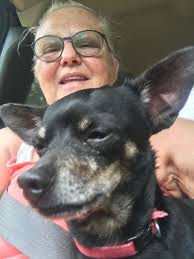 Lost and Found Pets of Clay County, Alabama