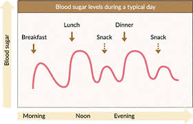 the relationship between blood sugar level and gi otsuka