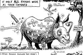 Zapiro Rhino Zuma Mail Guardian Save The Rhino Cartoon Rhino
