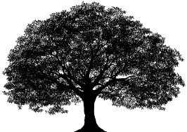 We did not find results for: Tree Silhouette Png Clip Art Image Gallery Yopriceville High Quality Images And Transparent Png Free Clipart