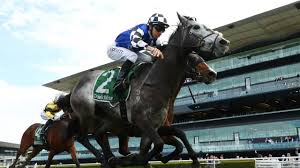 Hannah marbles porn videos they do not possess pics