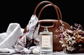 Image result for Chloé réédition