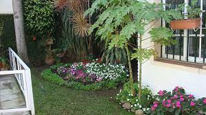 Ideas sorprendentes para hacer jardines verticales en casa. Como Hacer Un Jardin Sencillo Y Bonito 2 Jardin De Botellas Jardines Jardineria