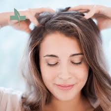 Alma TED Hair Restoration